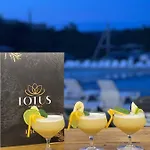 Lotus & Solotvyno