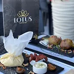 Lotus & Hotel Solotvyno