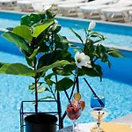 Lotus & Hotel Solotvyno