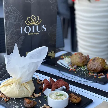 Lotus & Hotel Solotvyno