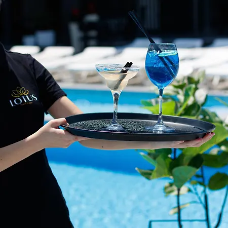 Hotel Lotus &
