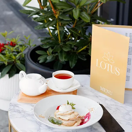 Hotel Lotus Solotvyno