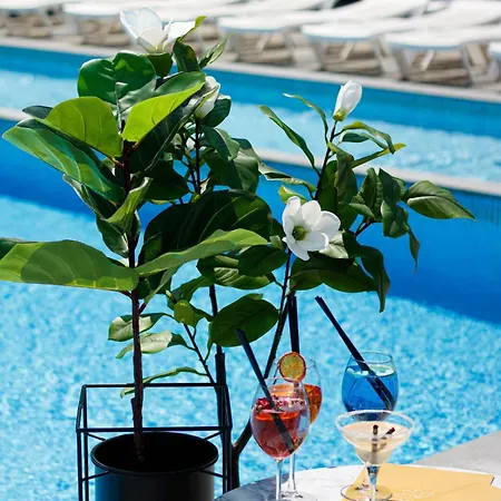 Lotus & Hotel Solotvyno