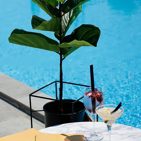 Hotel Lotus &