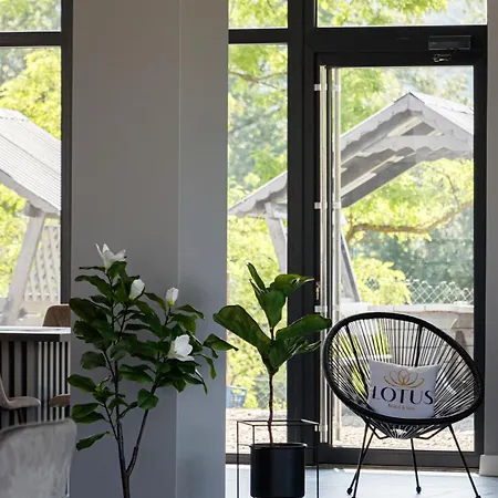 Lotus & Hotel Solotvyno