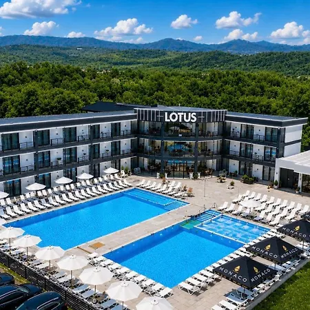 LOTUS Hotel Solotvino *