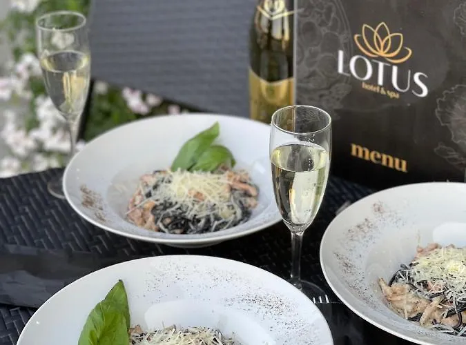 Lotus & Otel