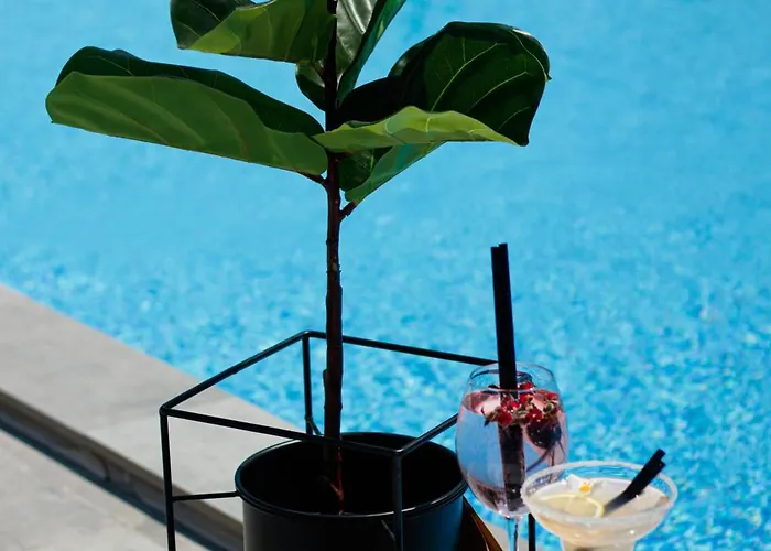 Otel Lotus &