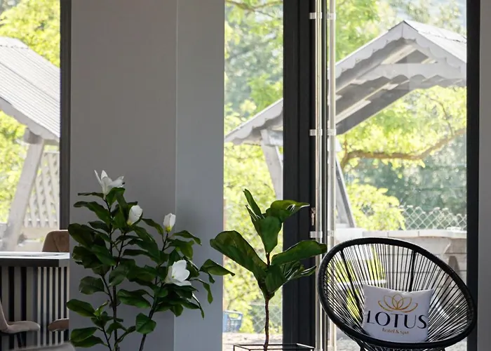 Lotus & Otel Solotvyno