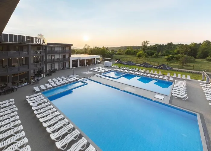 Lotus & Otel