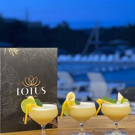 Lotus & Solotvyno