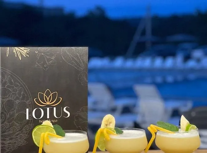 Lotus & Solotvyno