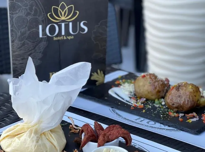 Lotus & Ξενοδοχείο Solotvyno